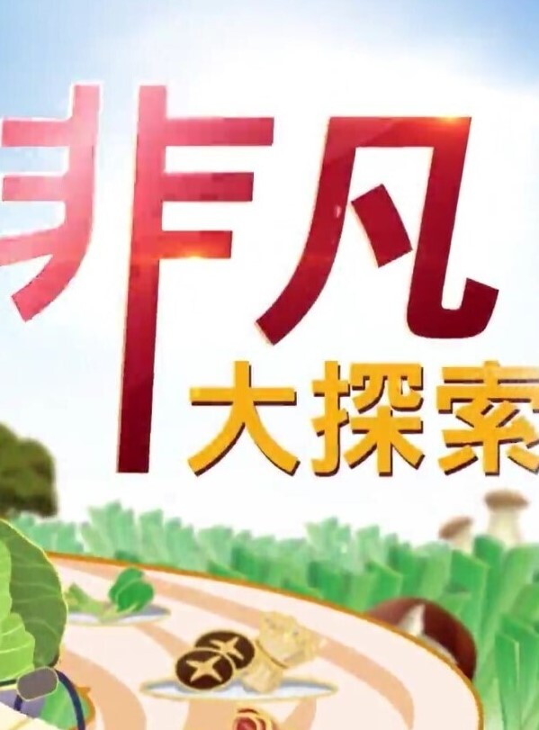 非凡大探索 2026